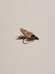 March Brown Trout wet fly