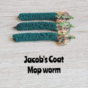 Mop Worm Jacob's Coat x 3