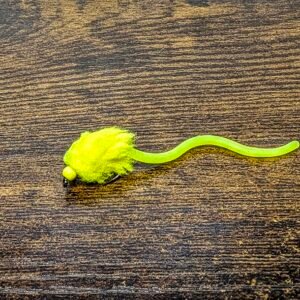 Squirmy Worm Sweetcorn Egg Fly.