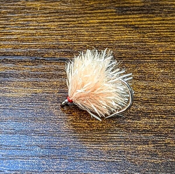 Coral Blob.