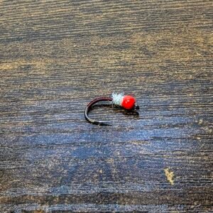 Red & White Stick stalking bug.