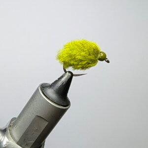 Olive egg fly Barbed.