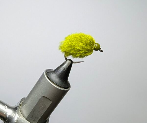 Olive egg fly Barbed.