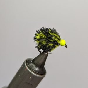 Bumble Bee Egg Fly