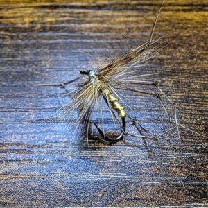 Daddy Long Legs