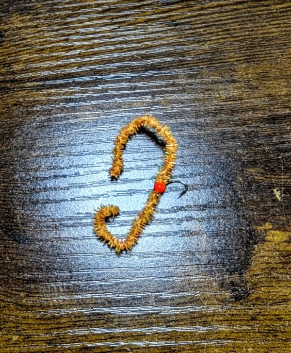 Orange Gum Olive Worm.