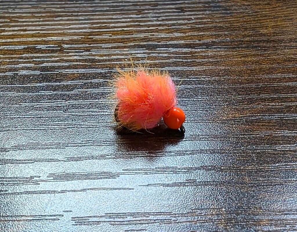 Watermelon & Orange Bead Head Egg Fly x 1 Barbless.