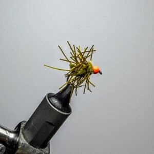 Olive Creeper Egg Fly.