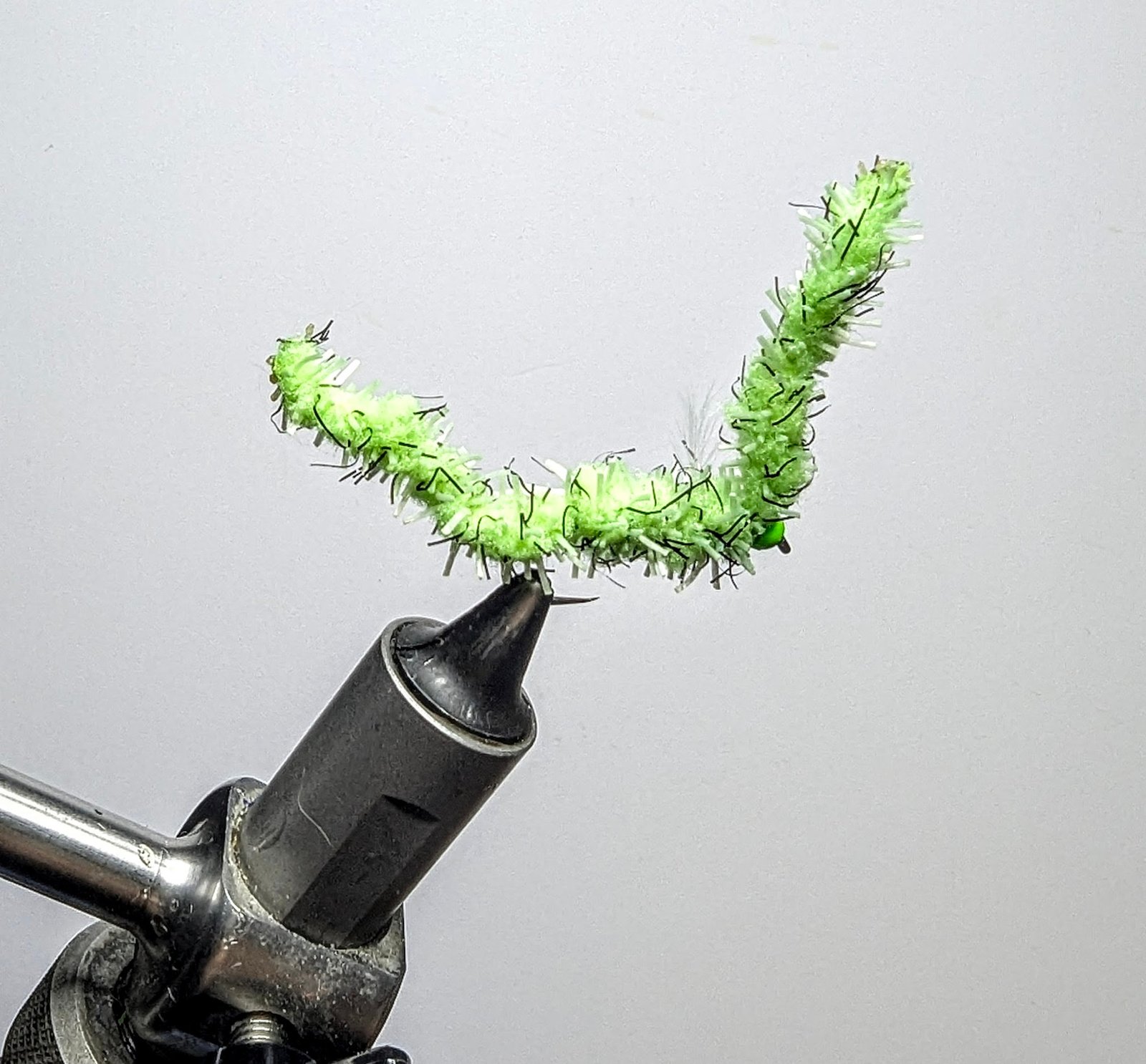 Mojito Caterpillar Worm.