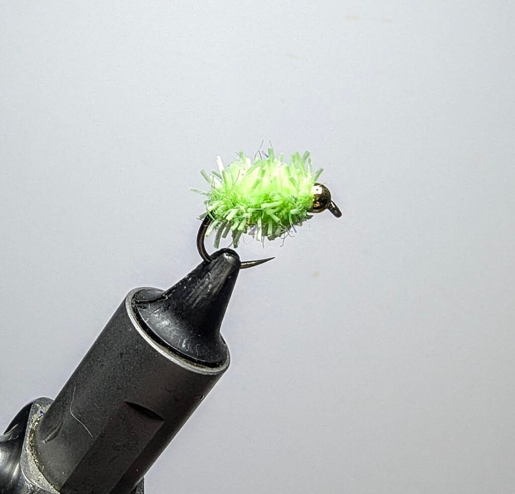Glistening Caterpillar Mojito Egg Fly