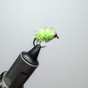 Mojito Glistening Caterpillar Egg Fly.