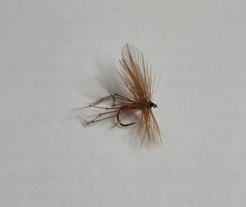Daddy Long Legs (BUDGET FLY).