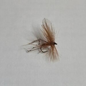 Daddy Long Legs (BUDGET FLY).