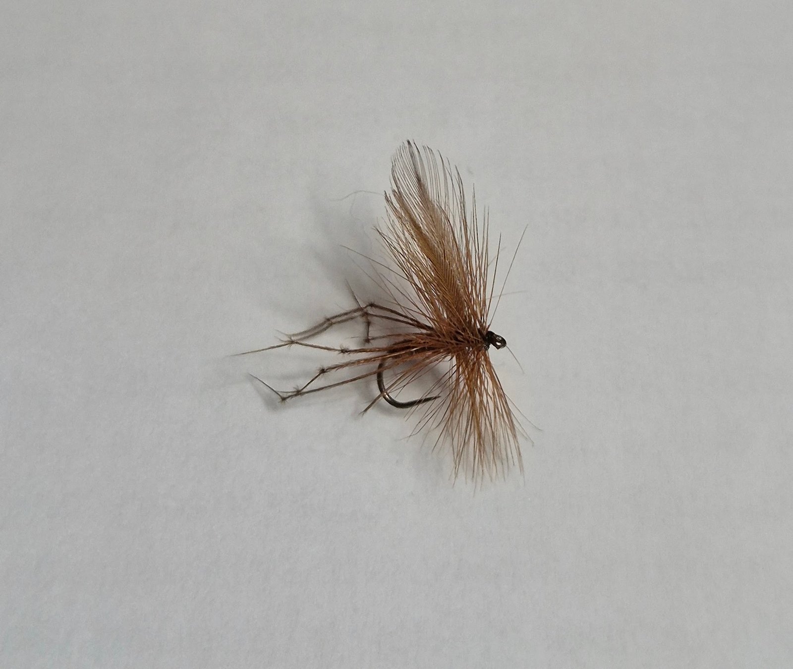 Daddy Long Legs (BUDGET FLY).
