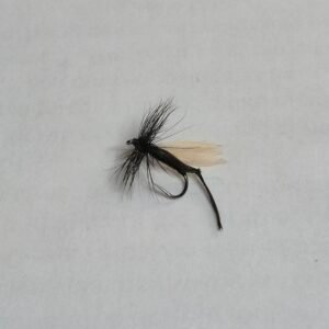 Hawthorn Fly (BUDGET FLY).