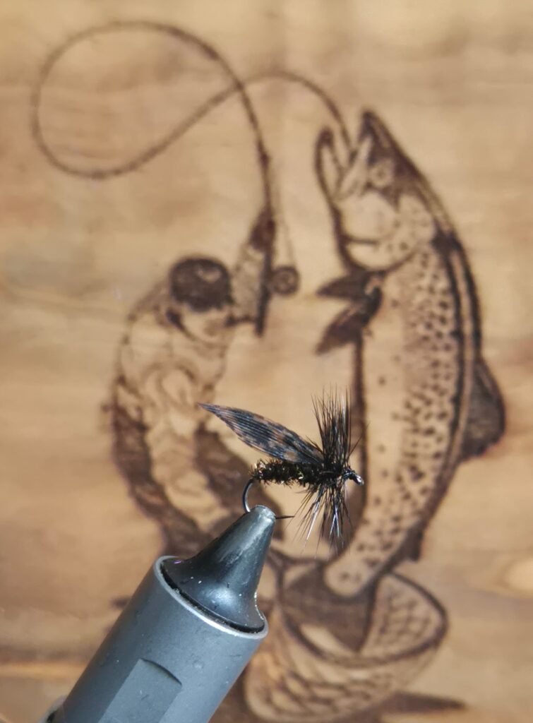 The Alder Fly (BUDGET FLY).