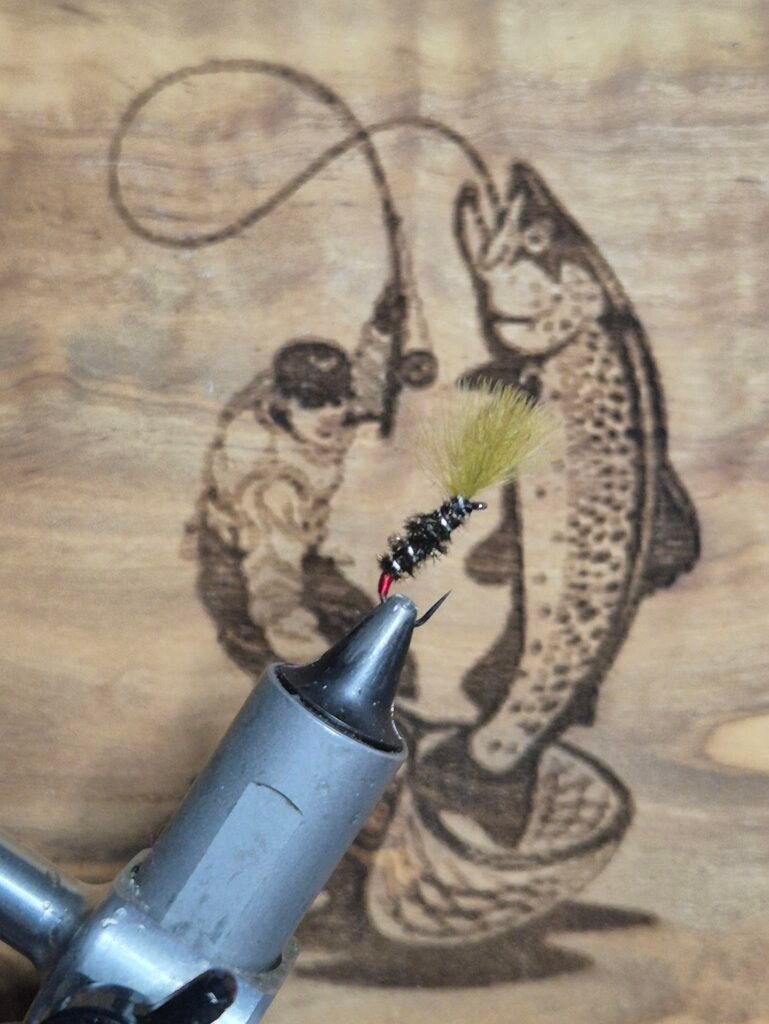 Olive CDC Buzzer (BUDGET FLY).