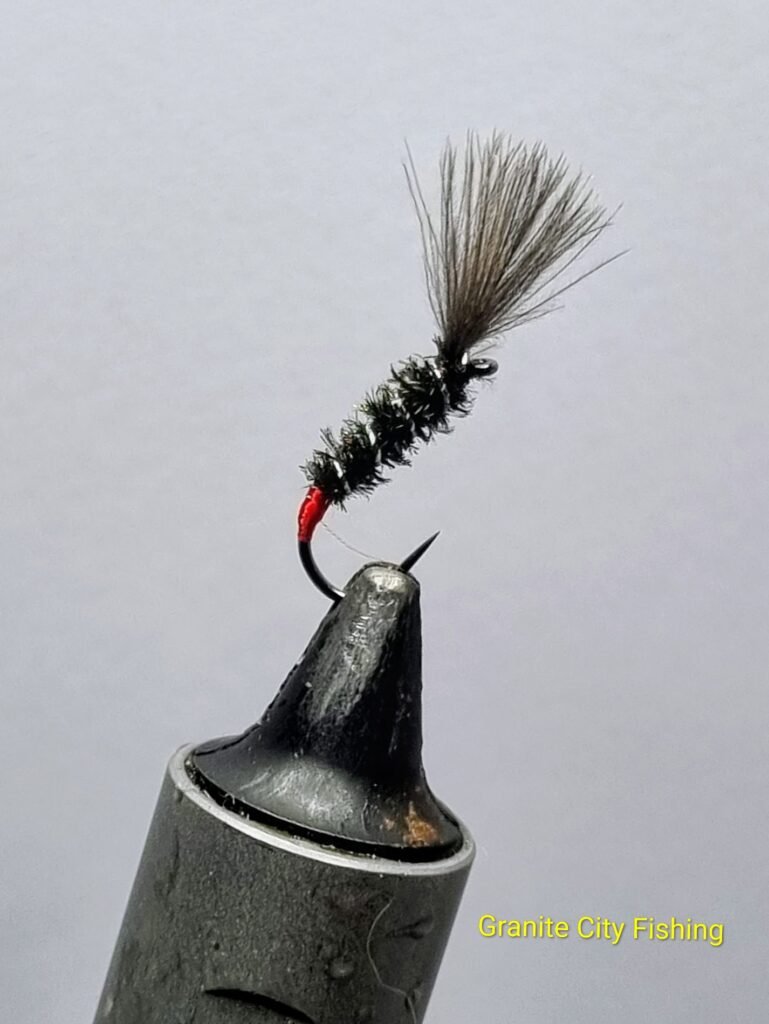 Black CDC Buzzer.