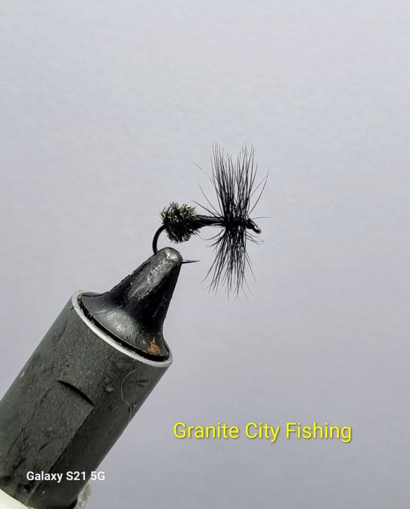 Black Ant Dry Fly.