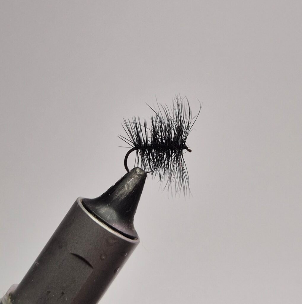 Black Gnat Dry Fly (BUDGET FLY).