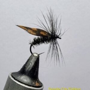 The Alder Fly.