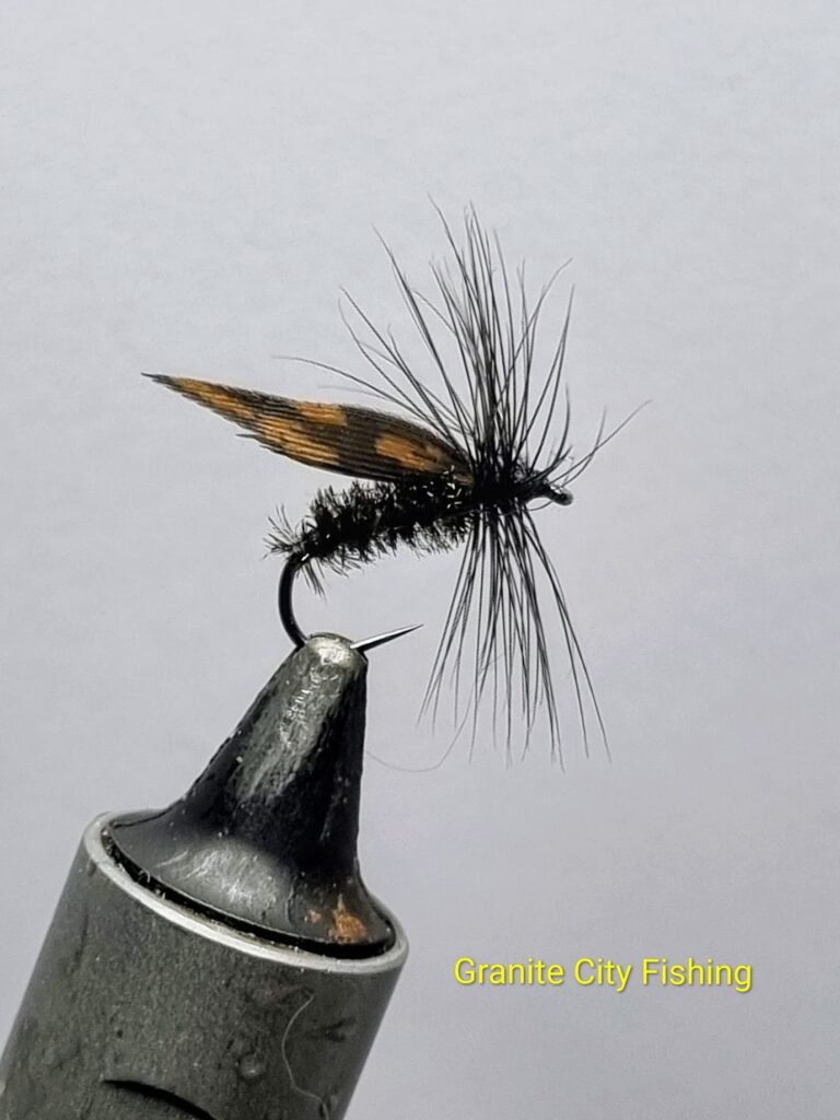 The Alder Fly.