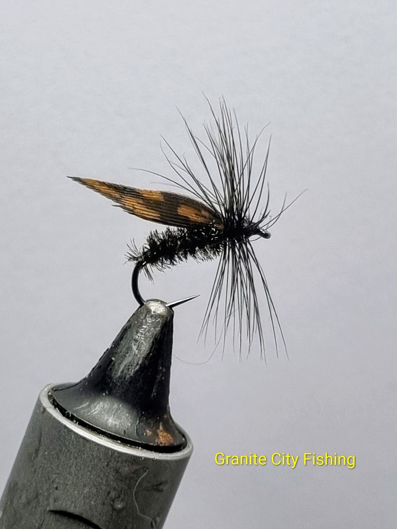 The Alder Fly.