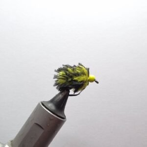 Bumble Bee Egg Fly.