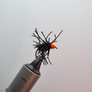 Black Creeper Egg Fly.