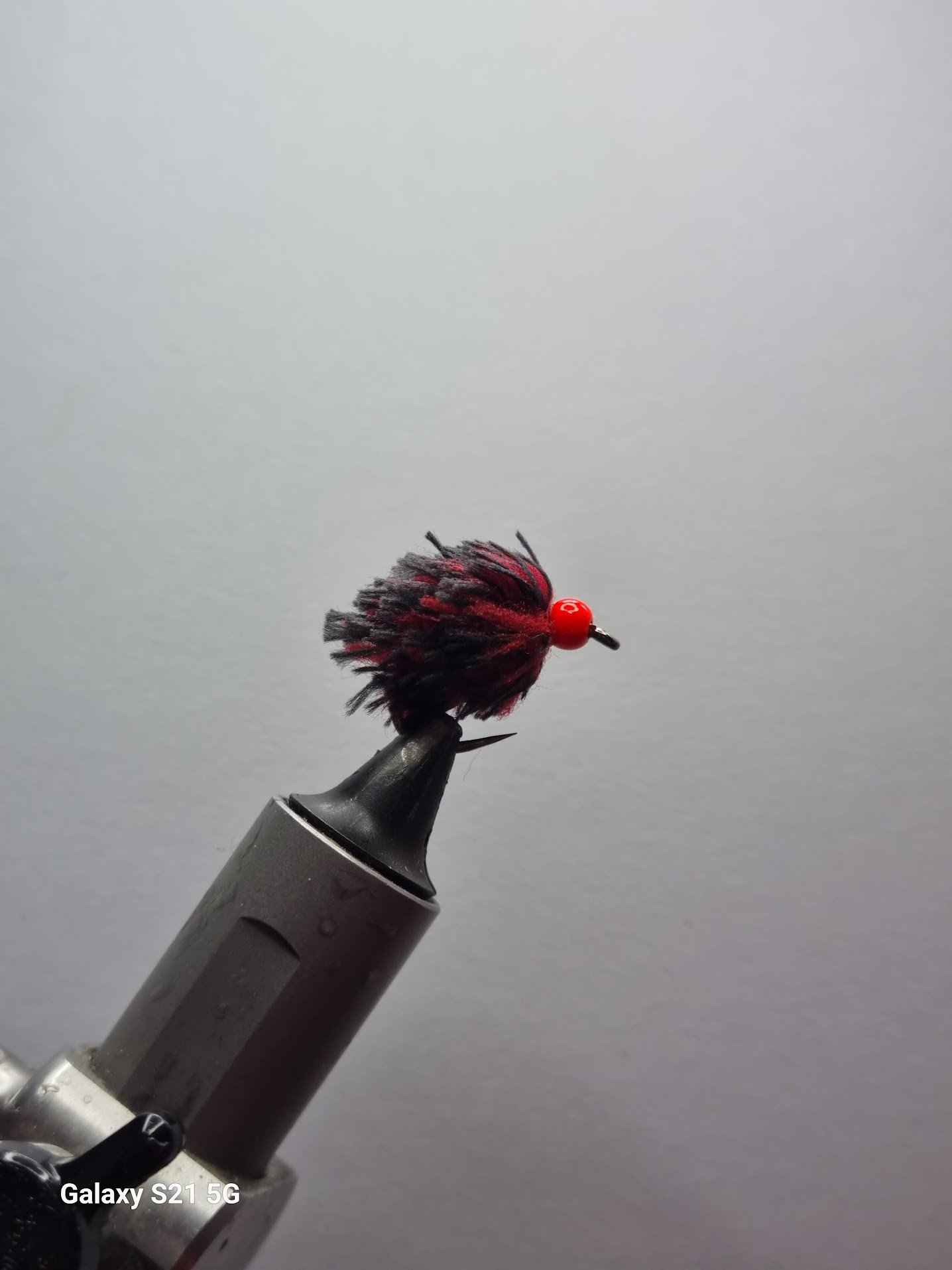 Dennis Egg Fly.