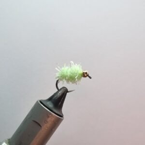 Glistening caterpillar Mojito Egg Fly.