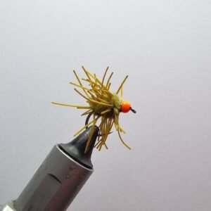 Olive Creeper Egg Fly.
