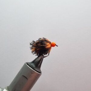 Wasp Egg Fly.