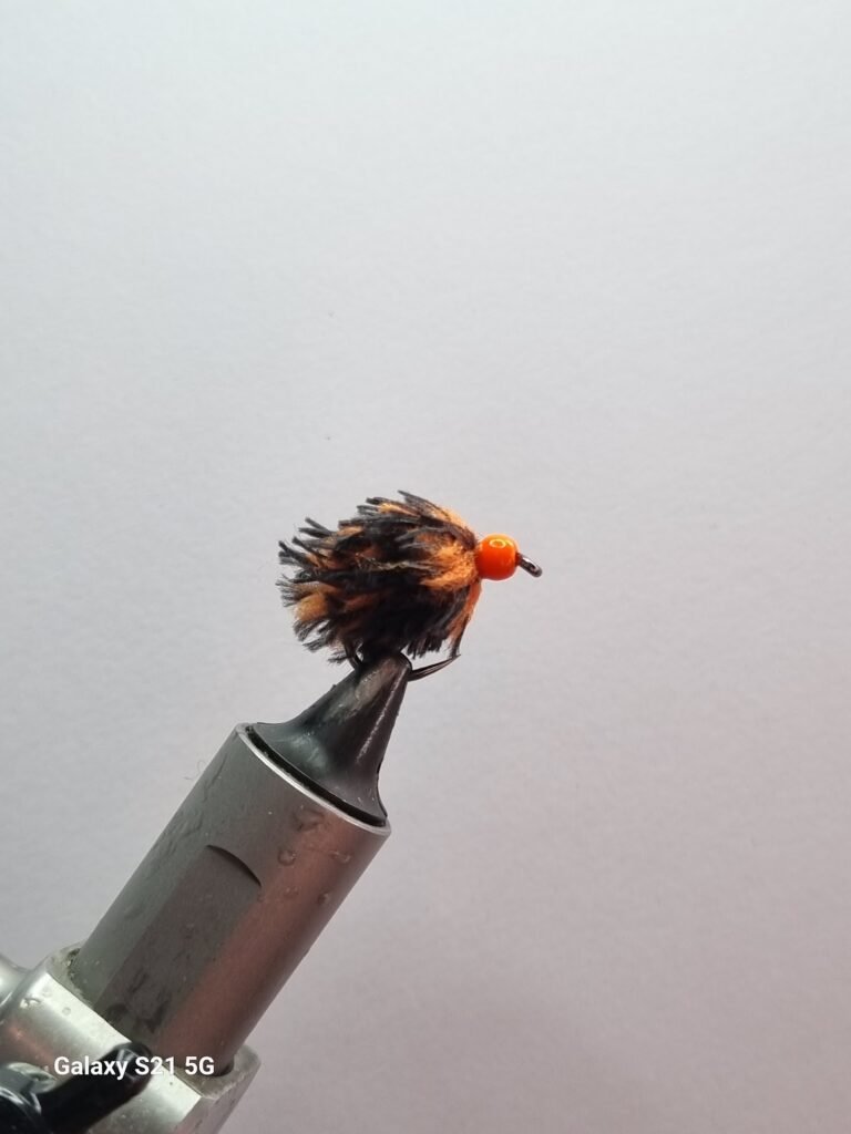 Wasp Egg Fly