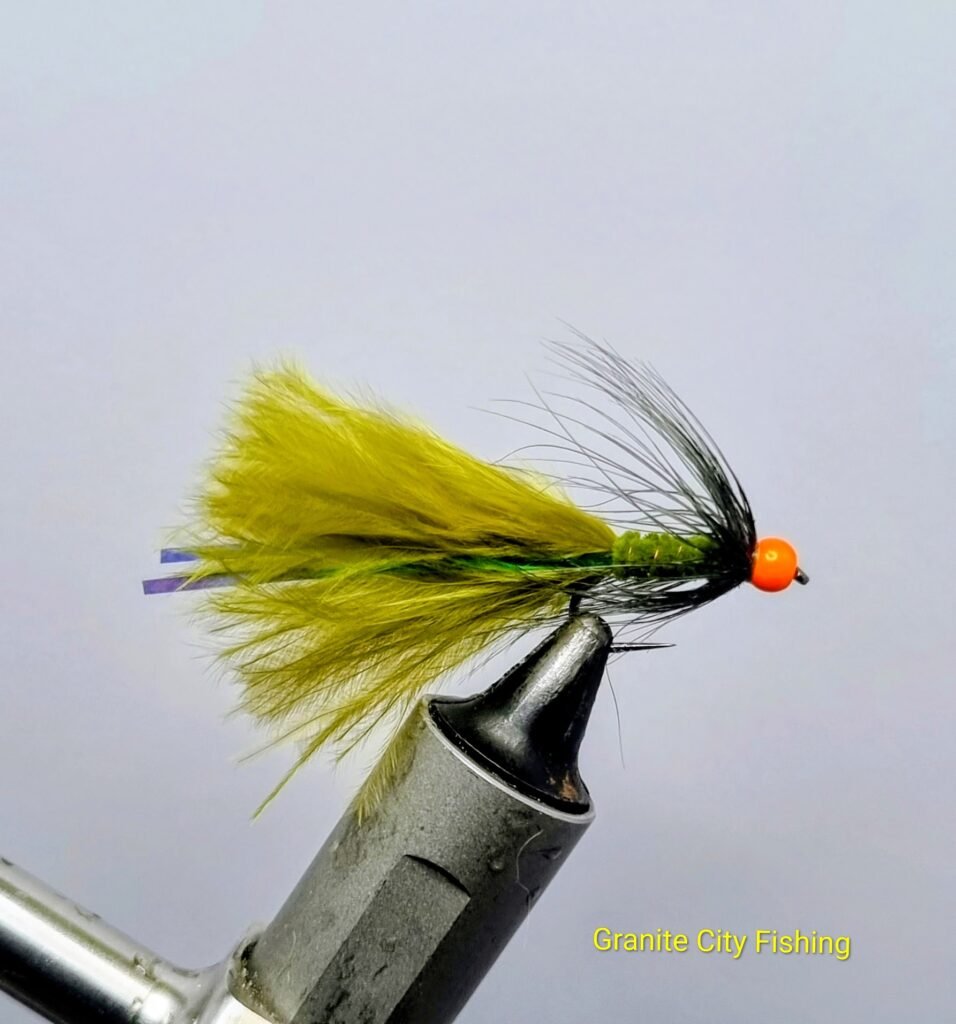 Blue Flash Damsel Fly