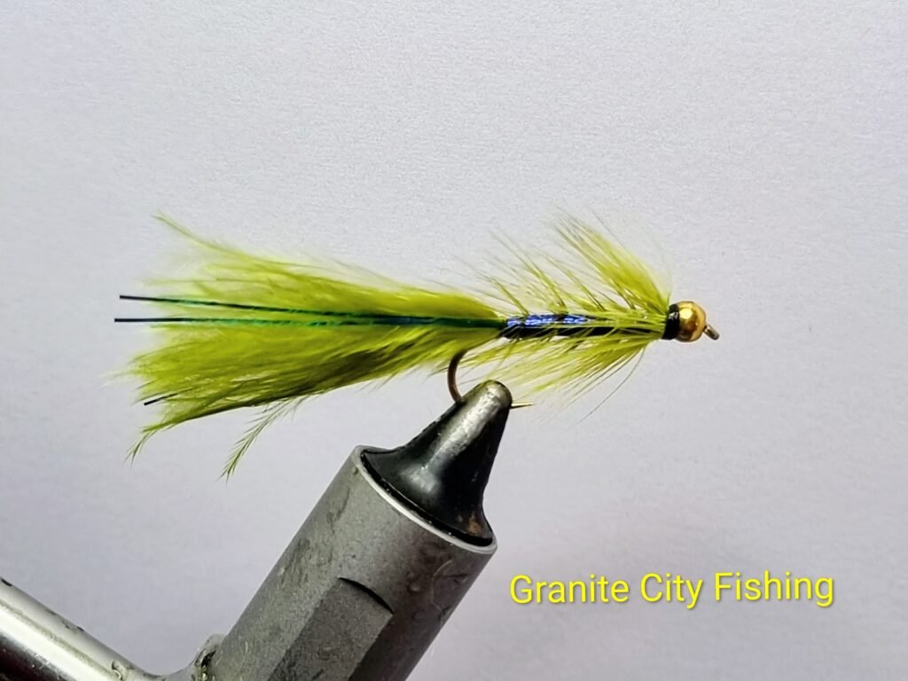Blue Ray Damsel Fly