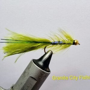 Blue Ray Damsel Fly.
