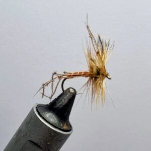 Brown Daddy Long Legs.