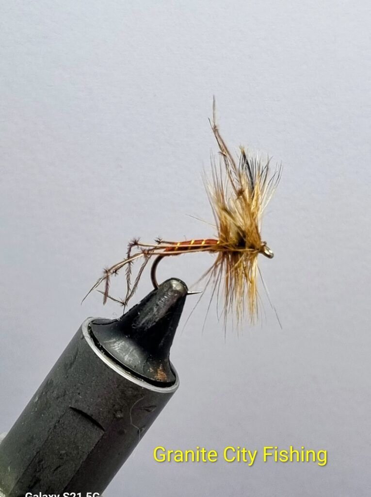 Brown Daddy Long Legs.