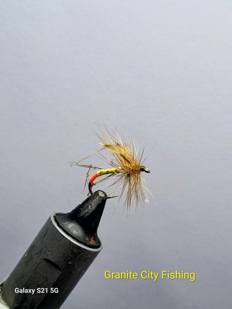 Daddy Long Legs Orange Butt.