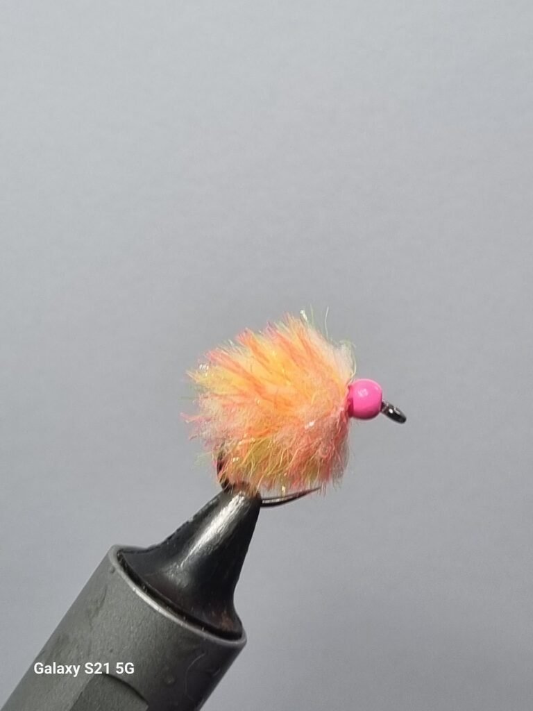 Pink Primrose Egg Fly