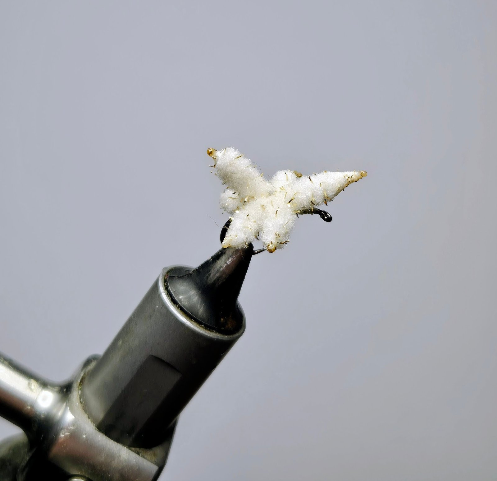 Maggot Cluster.